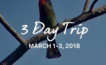 3 Australian Birders, March 2018