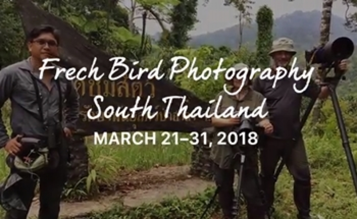 2 French Bird Photographers, March 2018