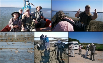 BIRDING IN THAILAND WITH 4 BIG MISSION BIRD FROM USA.
