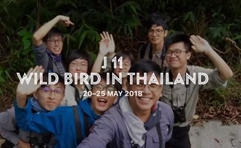 J11 Hong Kong birding group, May 2018