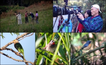 PHOTOGRAPHY TOUR 11DAYS WITH 3 AMERICAN BIRDER