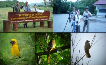 BIRDING IN THAILAND, CAMPING TO BIRD WATCHING
