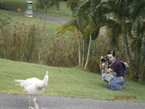 9945957885_814575c7f3_h